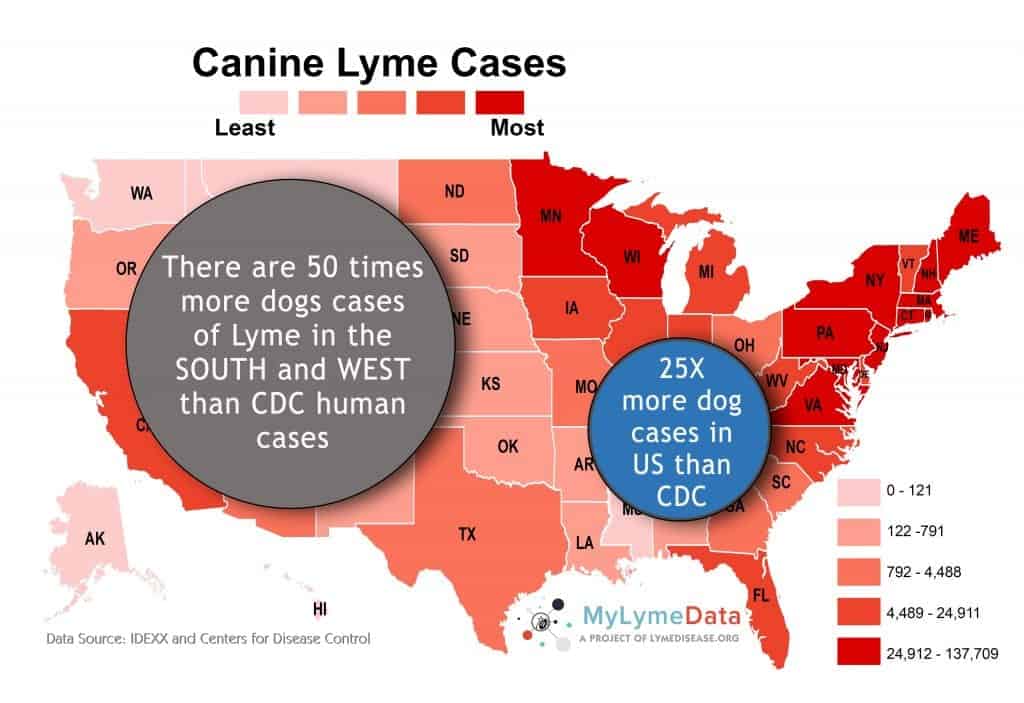 Map of Canine Lyme Disease Cases